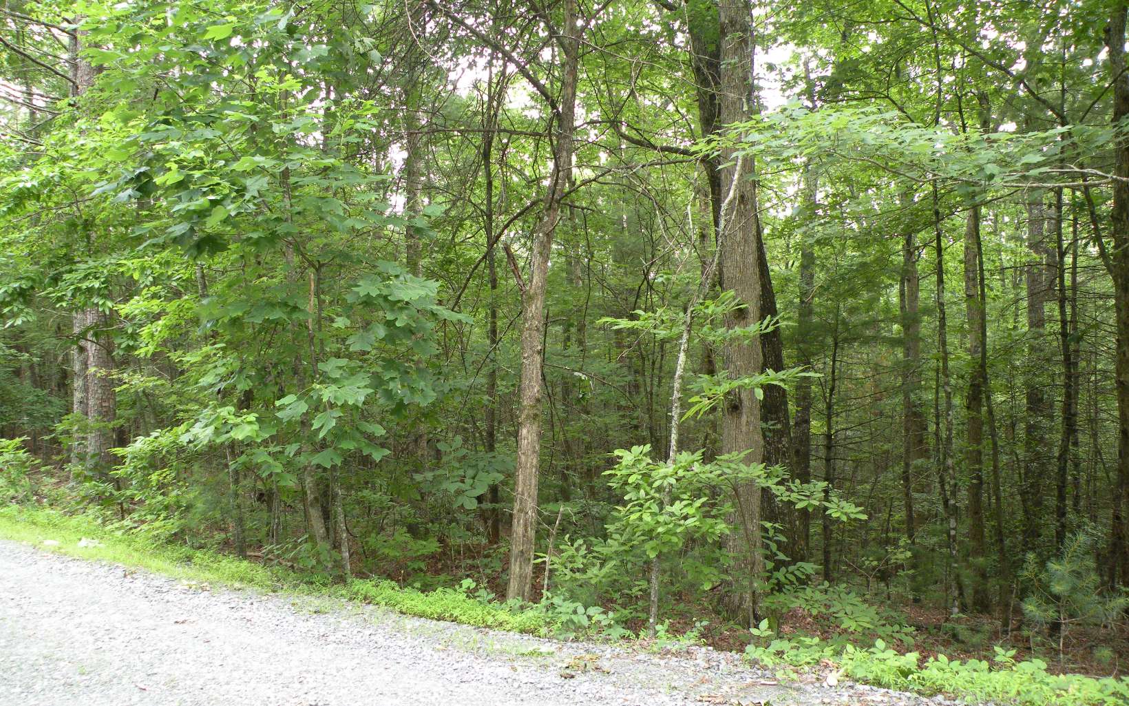 4 Mill Creek Acres
