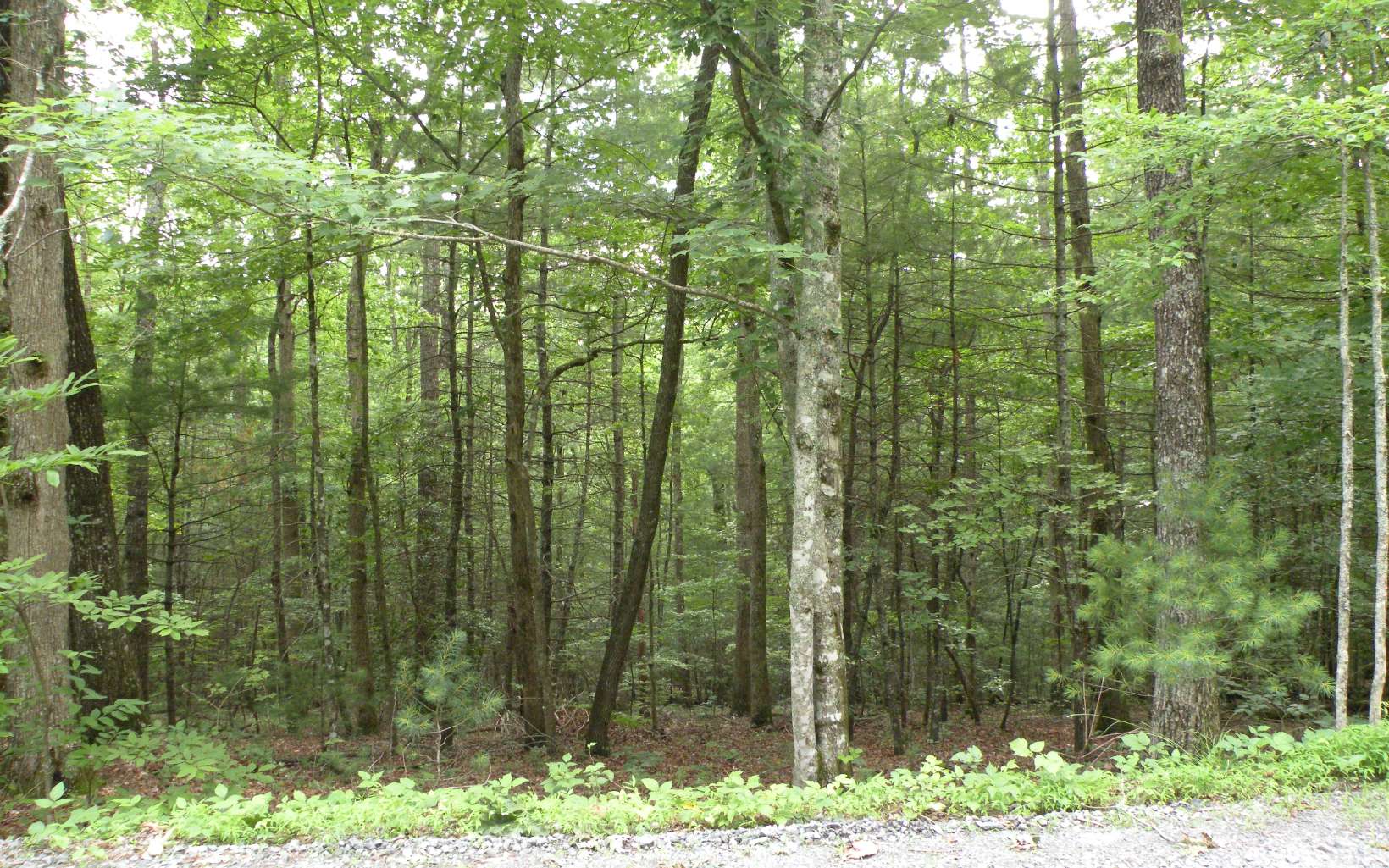 4 Mill Creek Acres