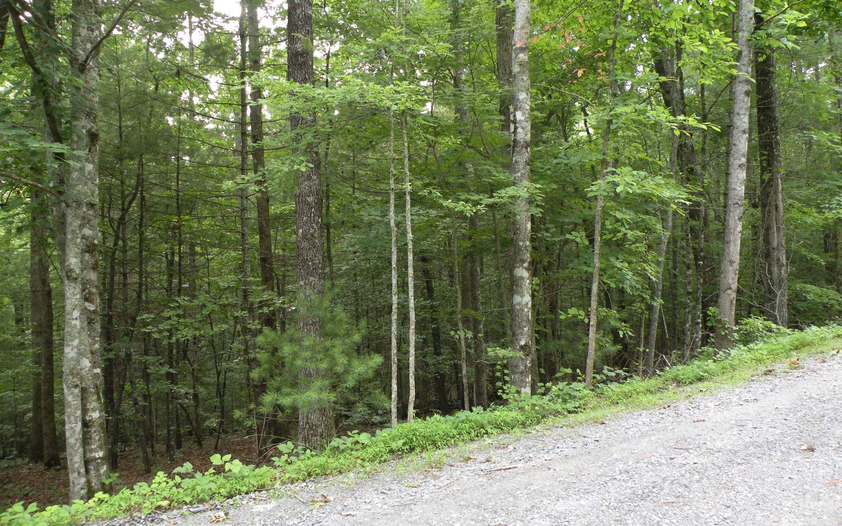 4 Mill Creek Acres