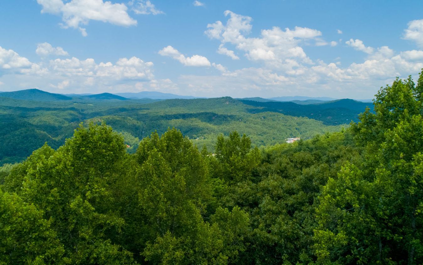 871 Laurel Ridge Road