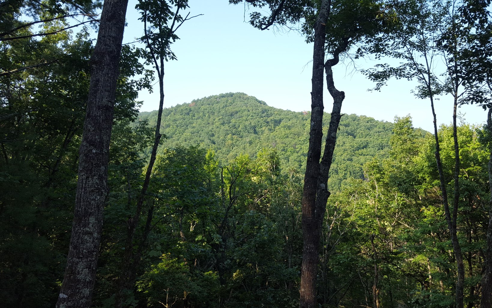LOT 8 Little Rock Creek Court