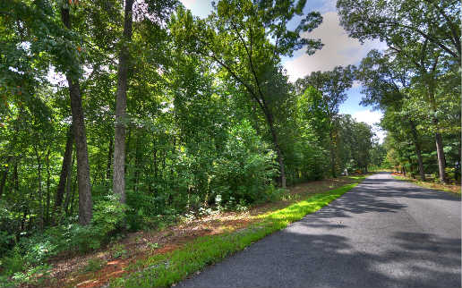 LT 36 Ivy Ridge