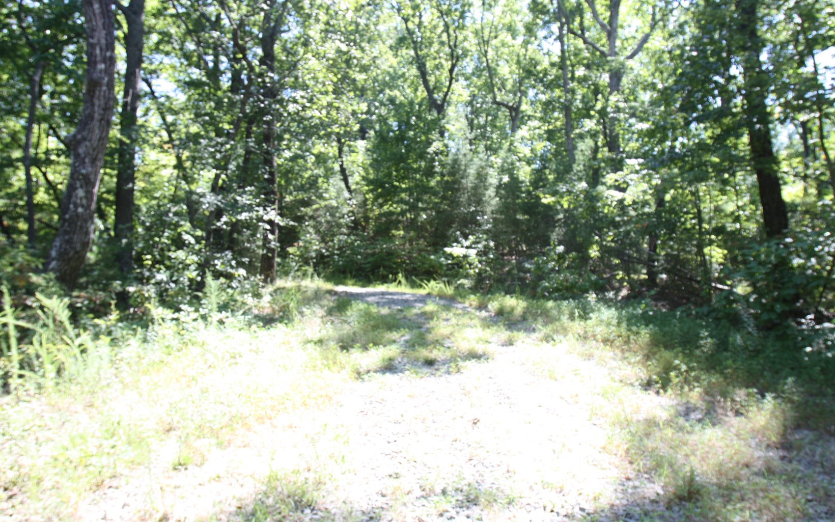 6+AC Old Burnt Mountain Lane
