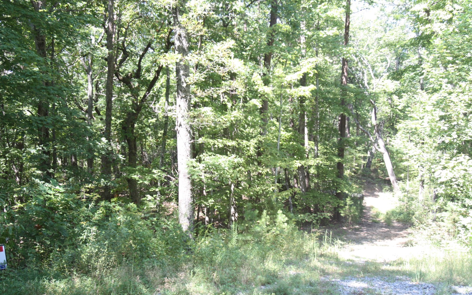 6+AC Old Burnt Mountain Lane