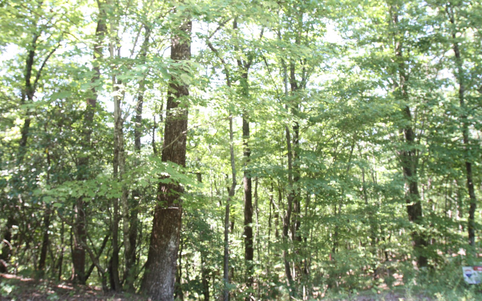 6+AC Old Burnt Mountain Lane