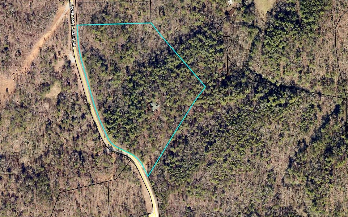 703 Lower Tails Creek Road