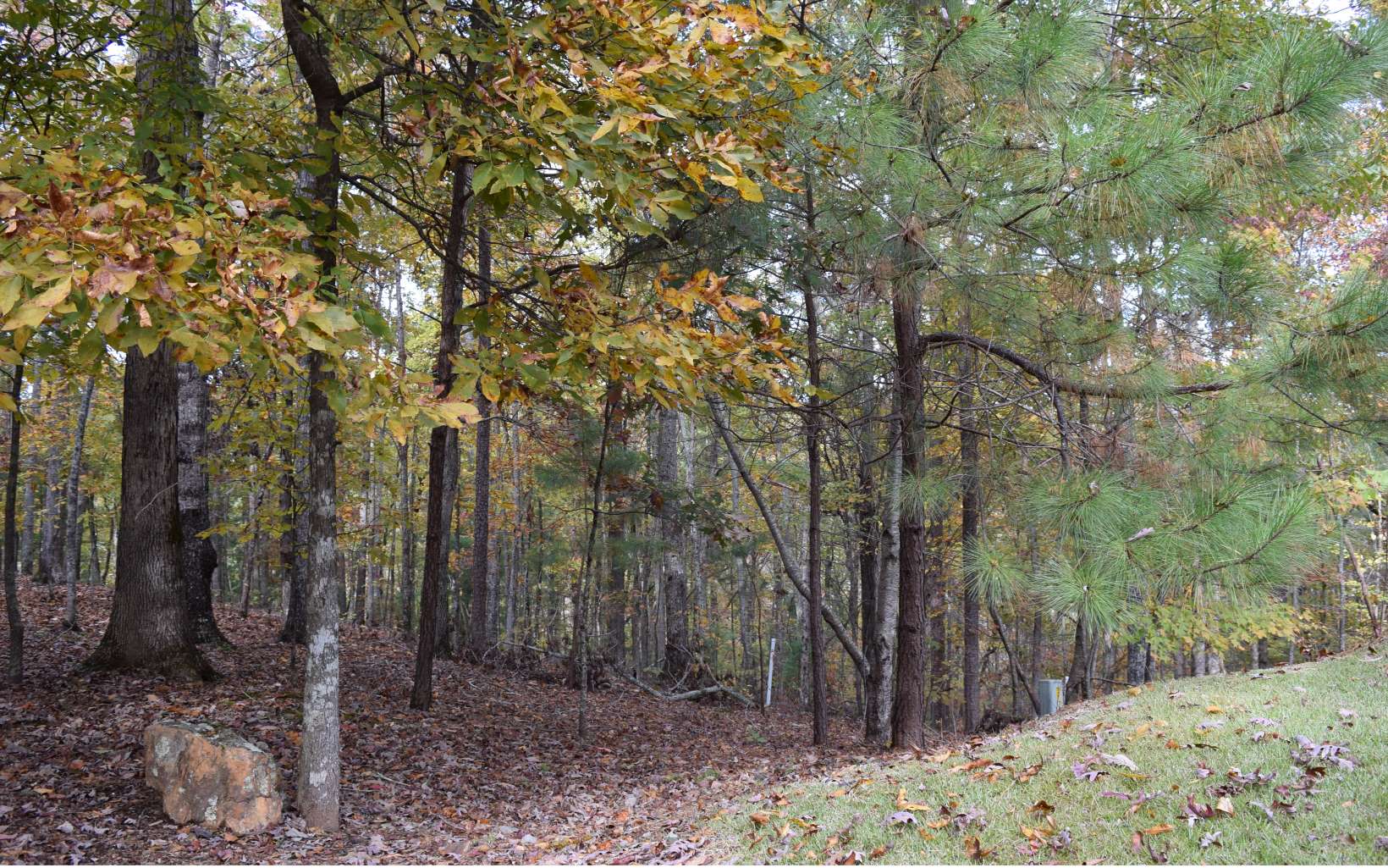 L63 N Harris Creek Drive