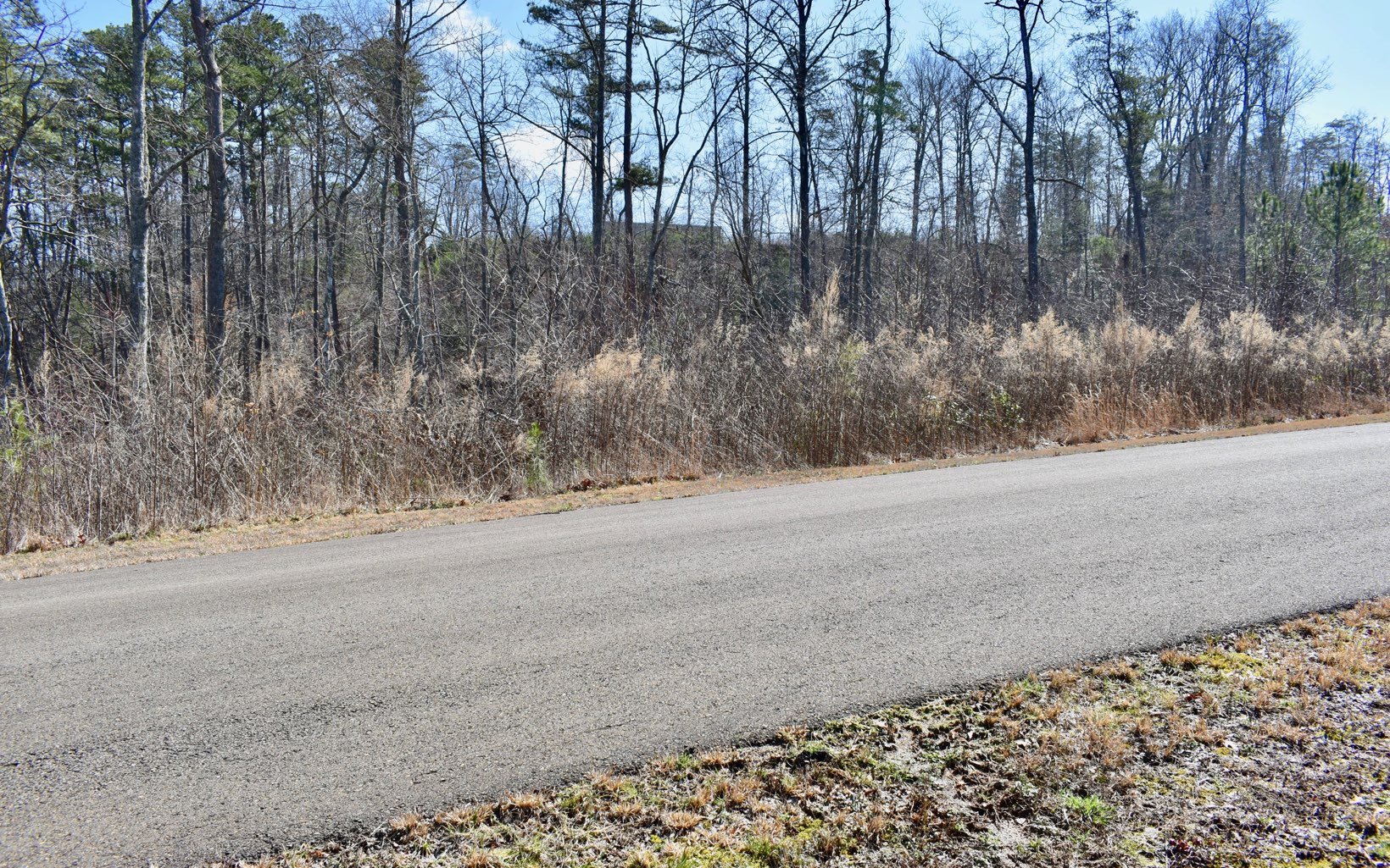 Amber Ridge Road