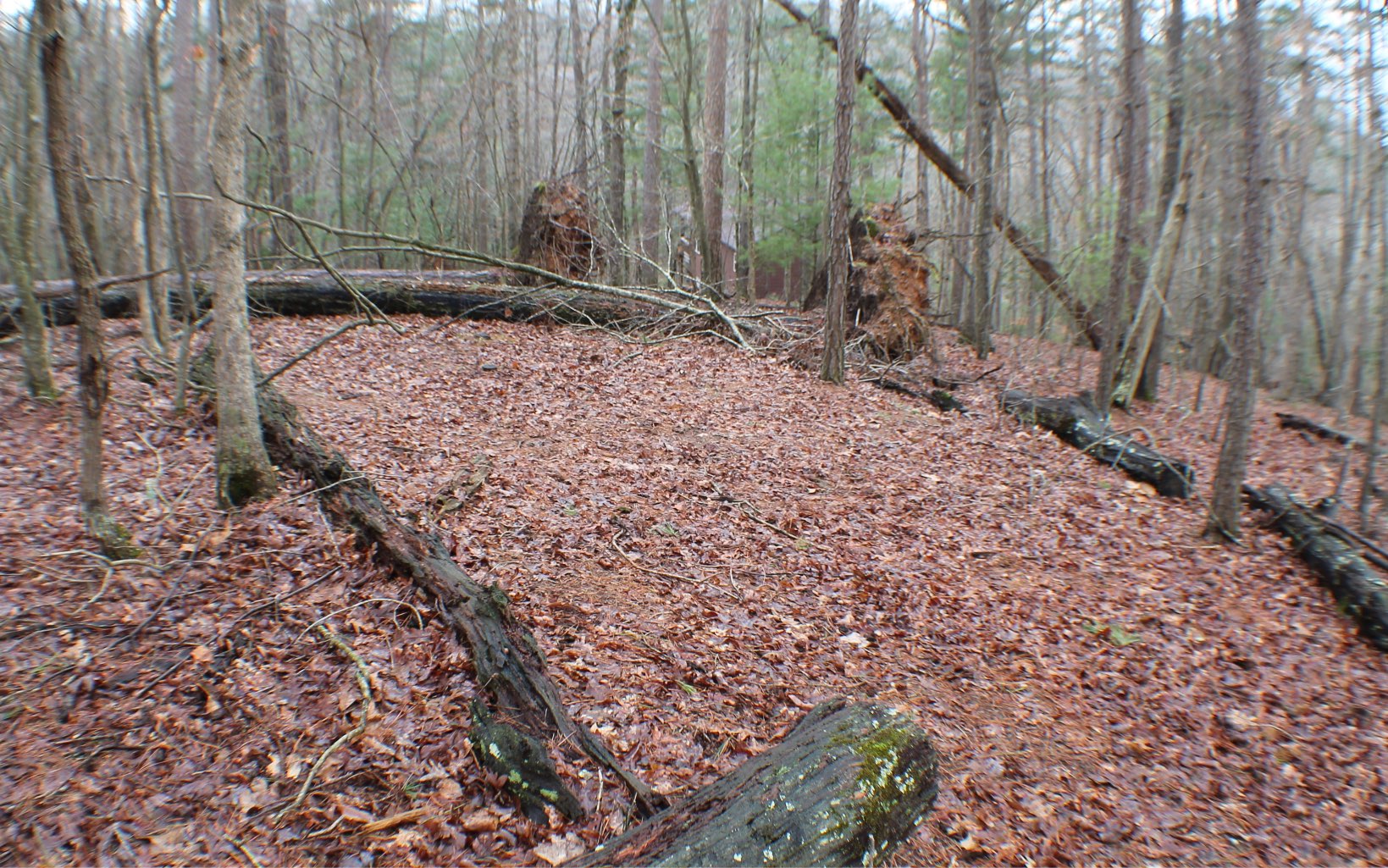 Chickasaw Court