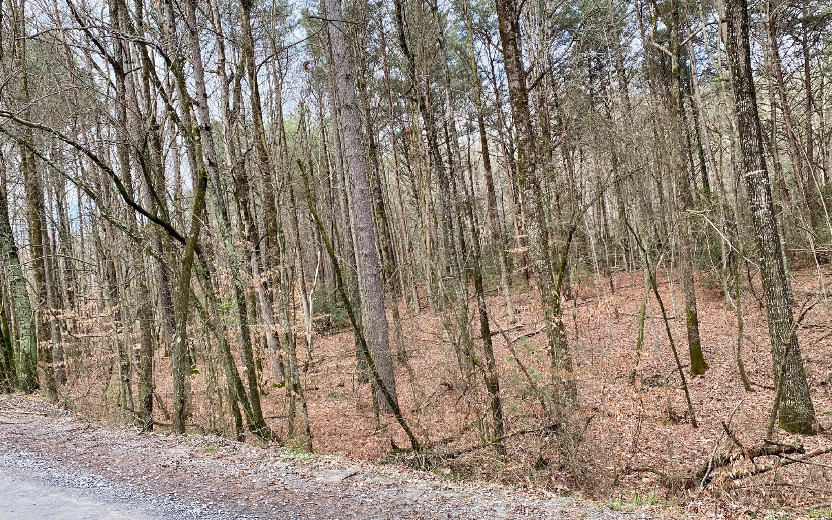 14 AC Pettit Road