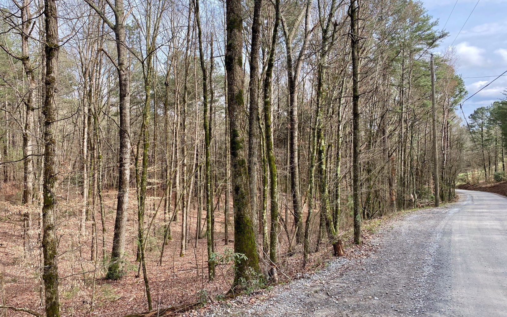 14 AC Pettit Road