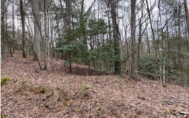 LT718 Muscogee Drive