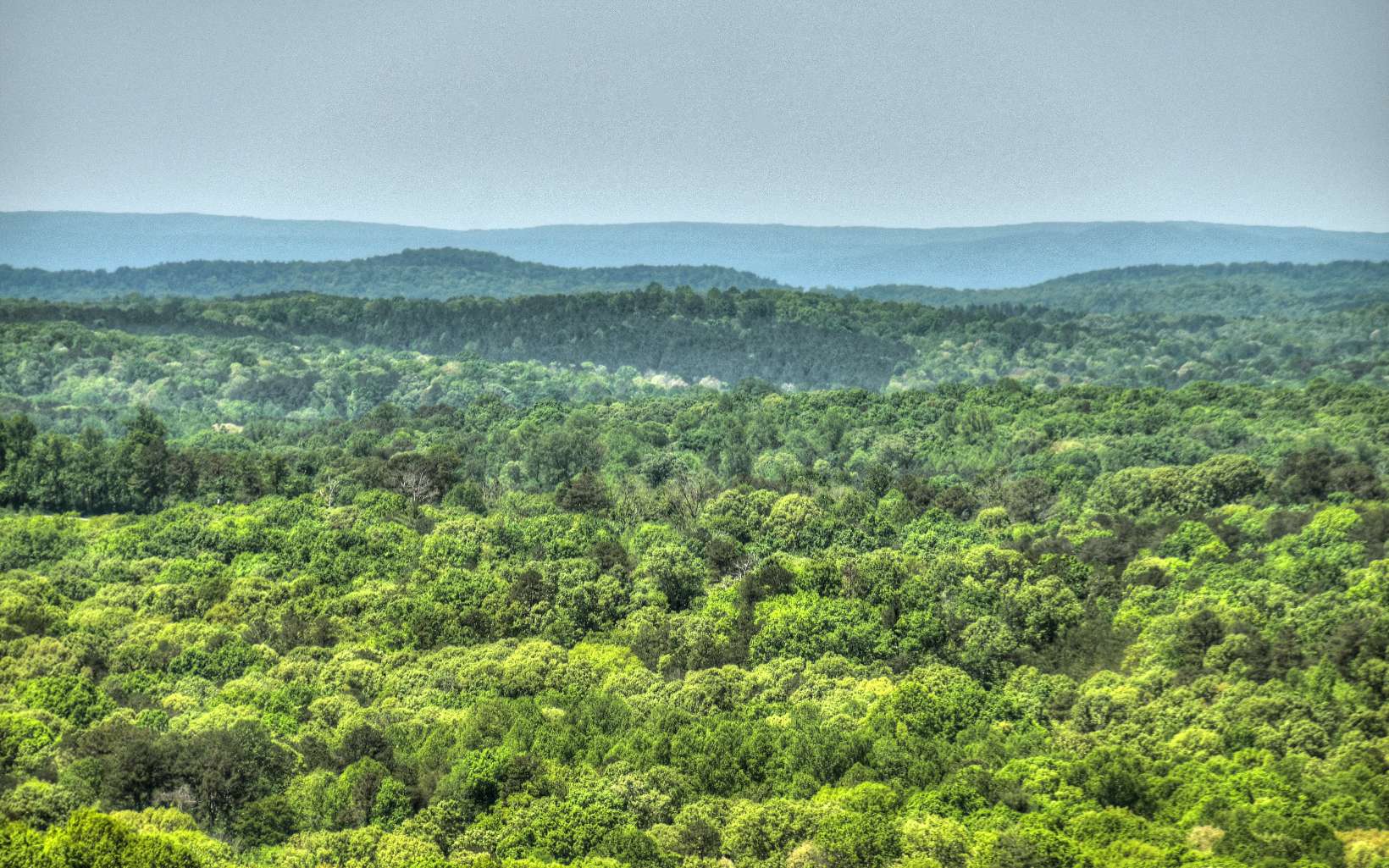 1148 Talona Mountain Road