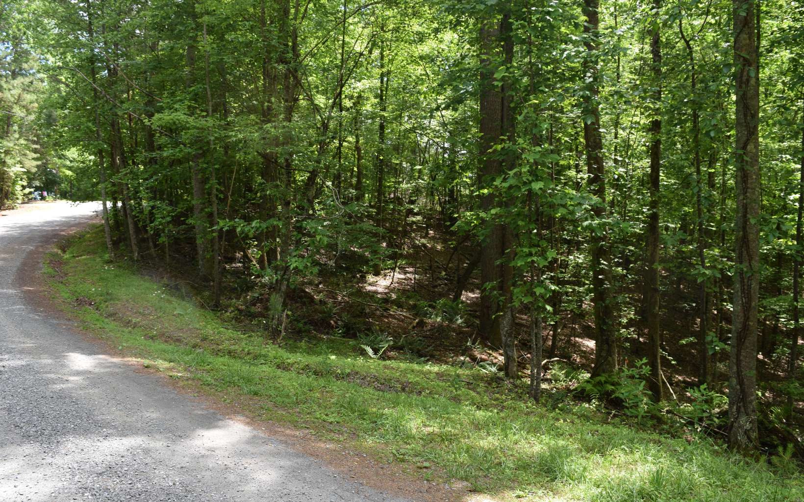 L1406 Mallory Drive