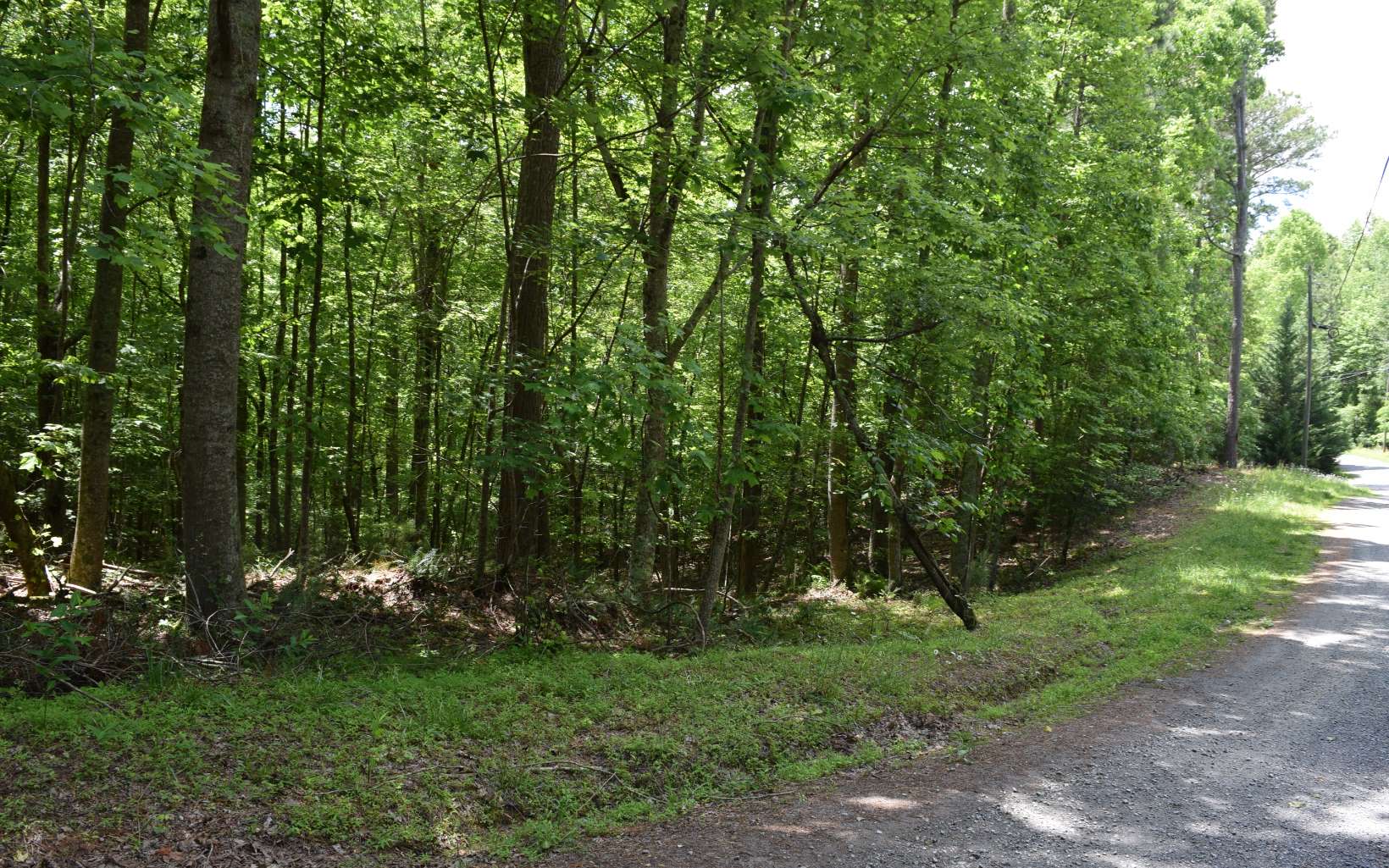 L1406 Mallory Drive