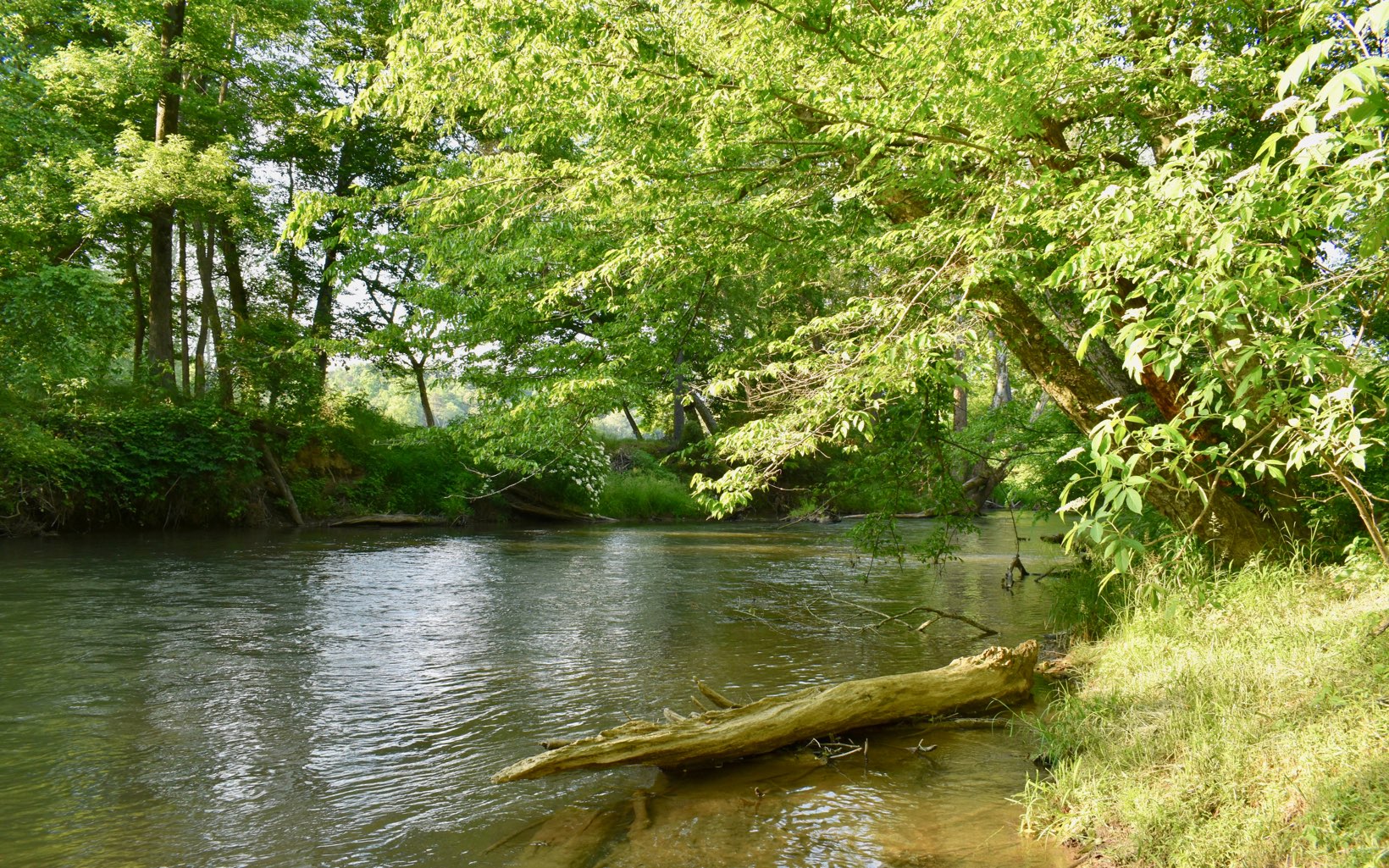 Cartecay River Run