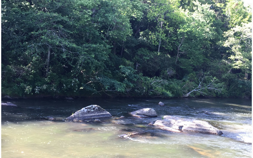 Bluffs Of Cartecay