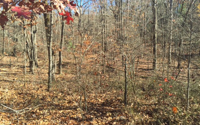 Lot 146 Tranquility