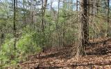 655 Wedowee Court