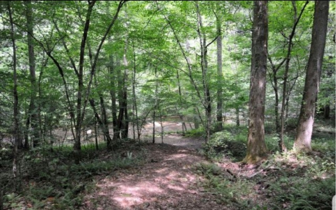 54 Mountain Creek Hollow Drive