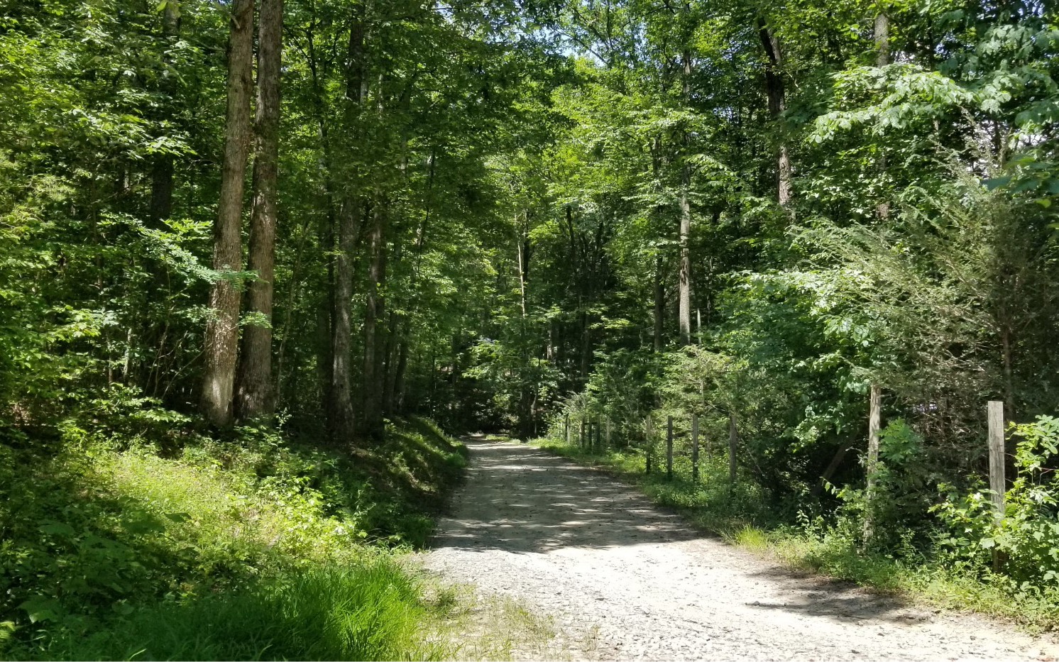 6.4 April Lane