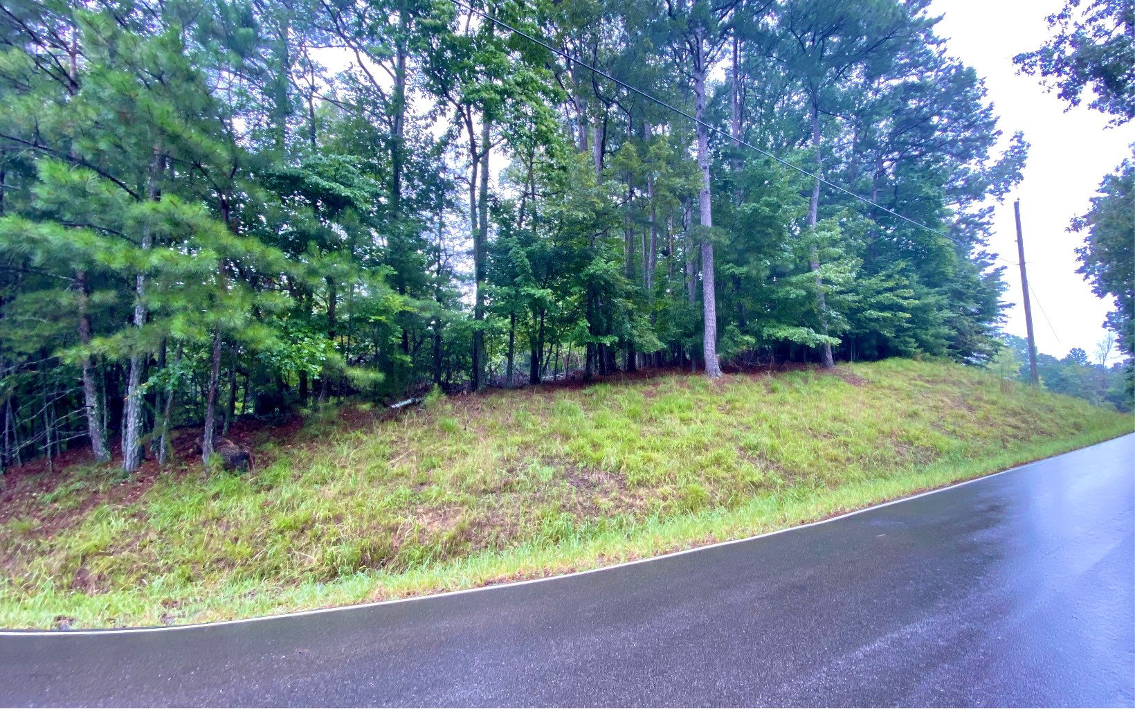 L3034 Carlisle Drive
