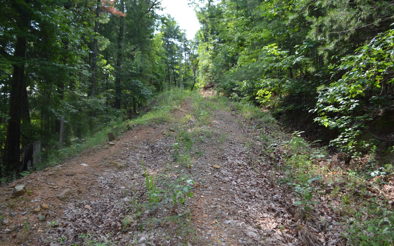 838 Emery Creek Road