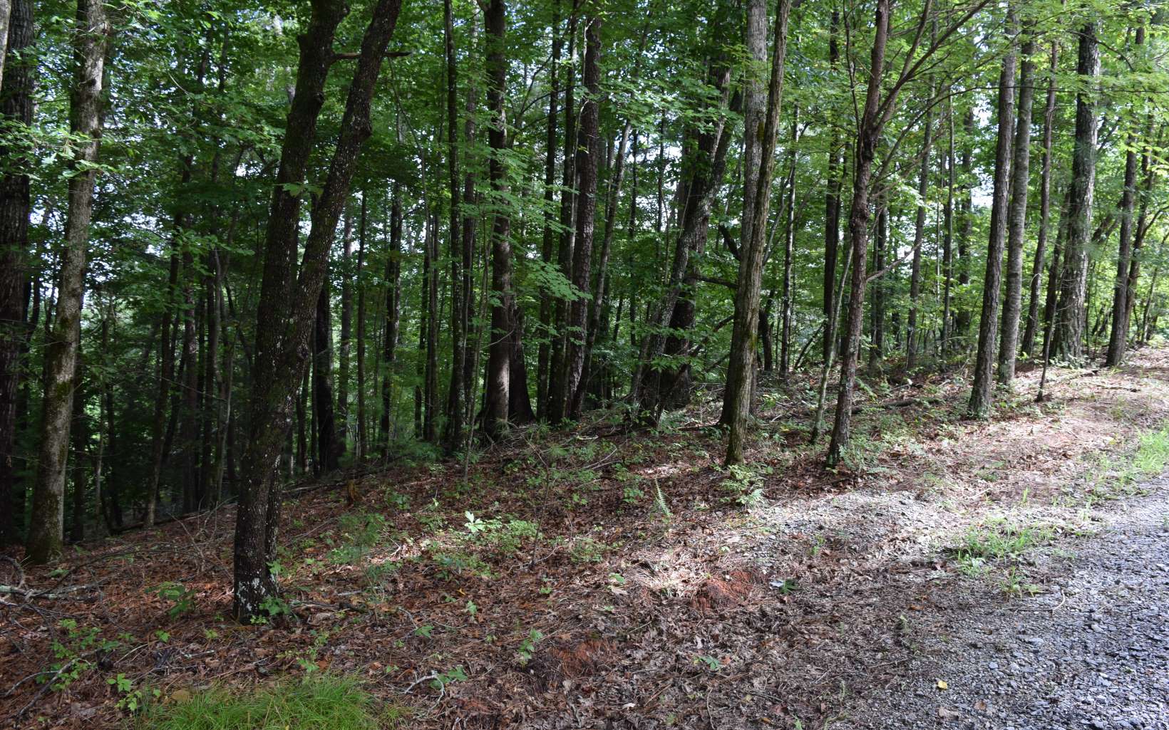 LT369 Summit Drive