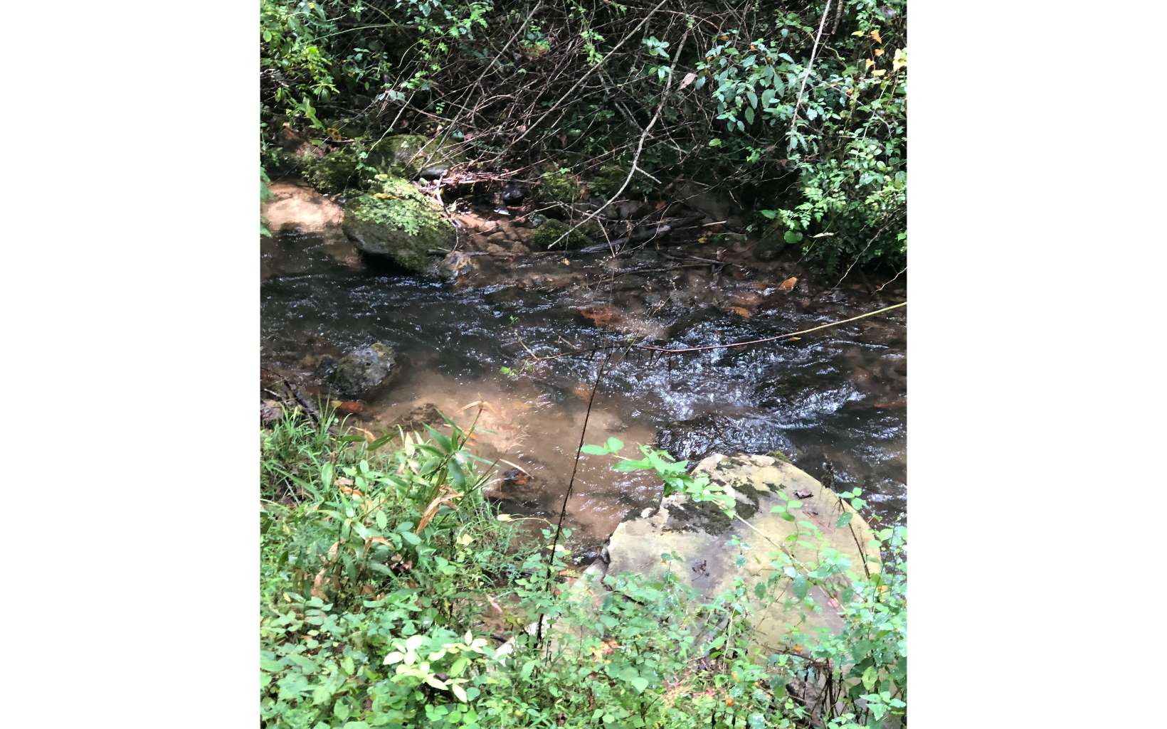 Nocona Trail