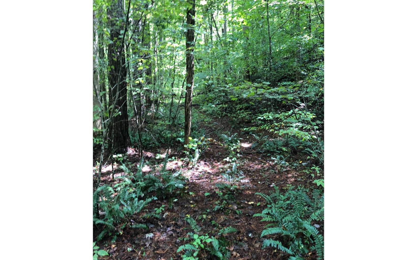 Nocona Trail
