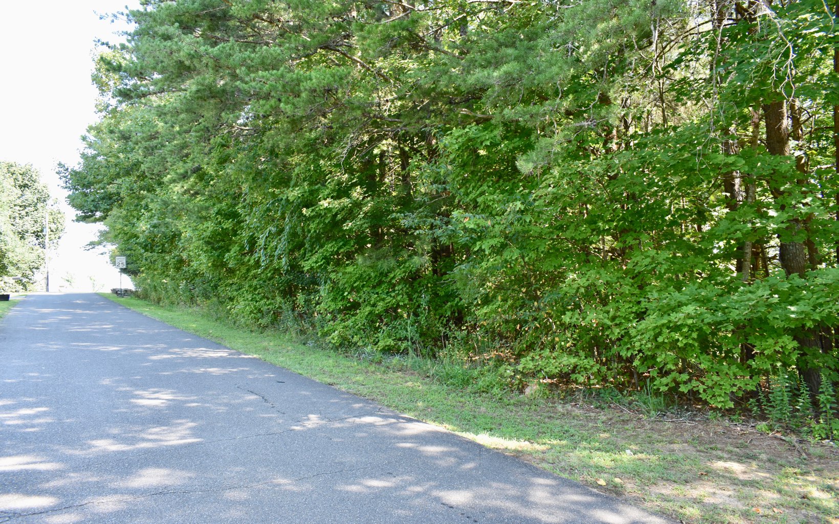 Talona Mountain Road