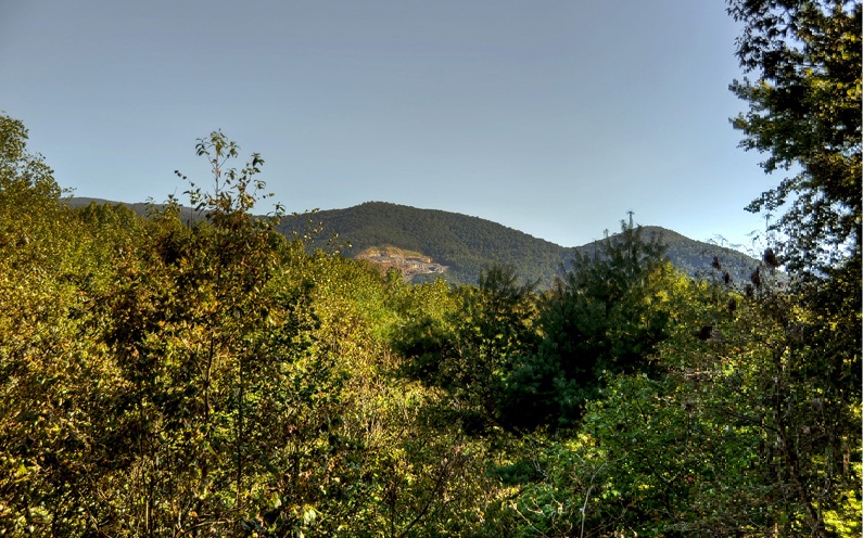 LT385 Walhalla Court