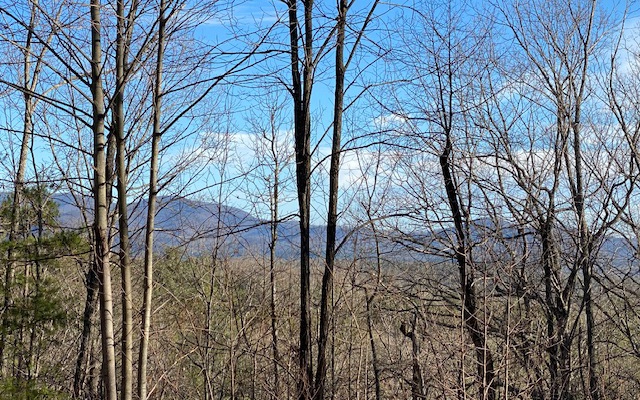 LT 35 Abbott Mill Road