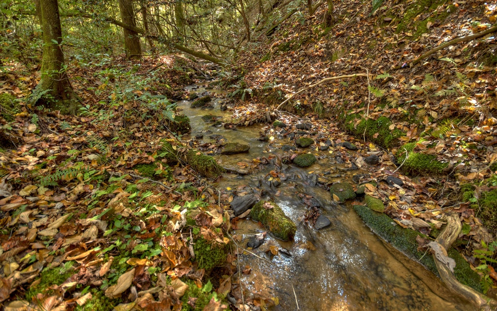 1050 Dover Falls Trail