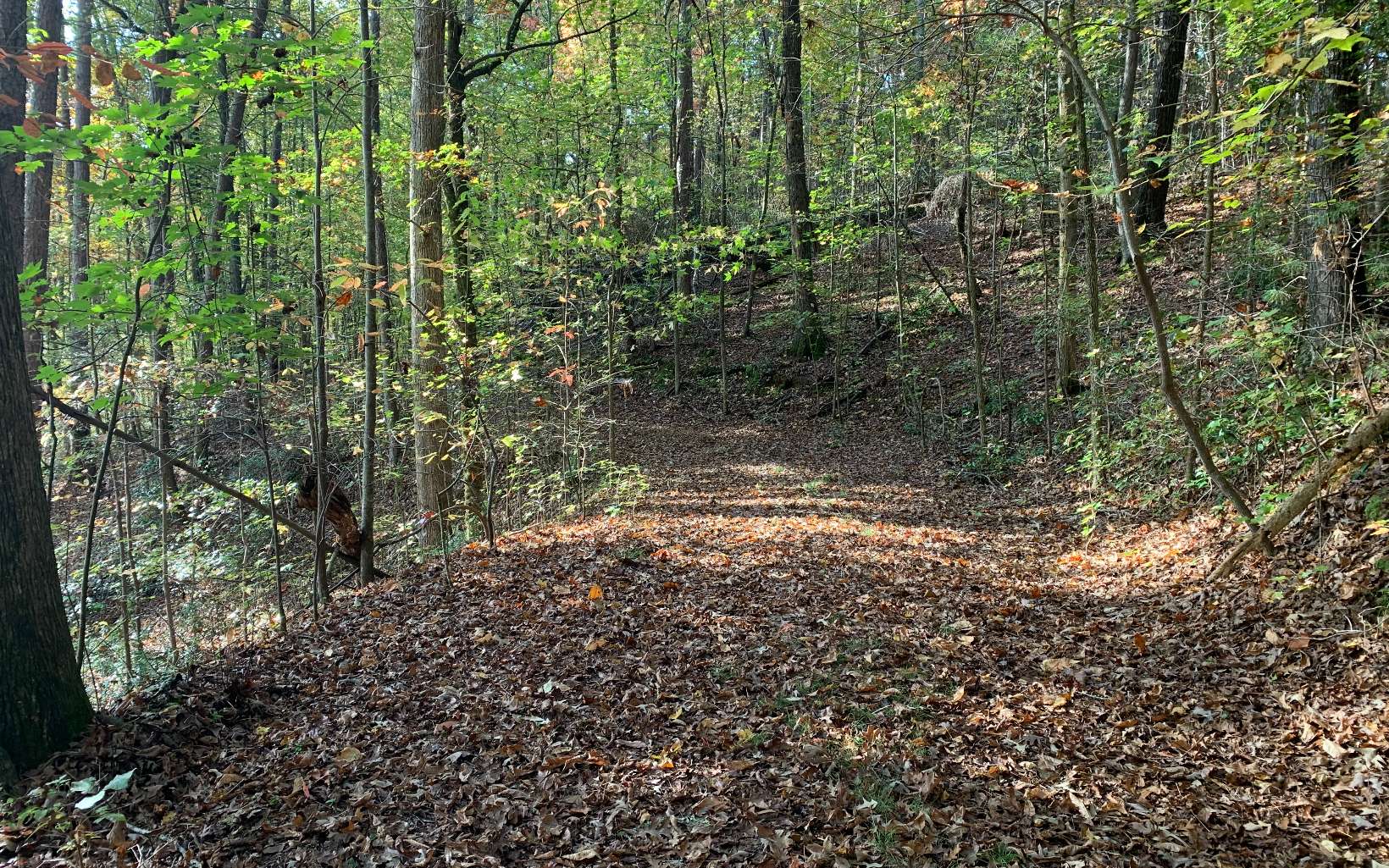 LT 5 Talona Lake Lane