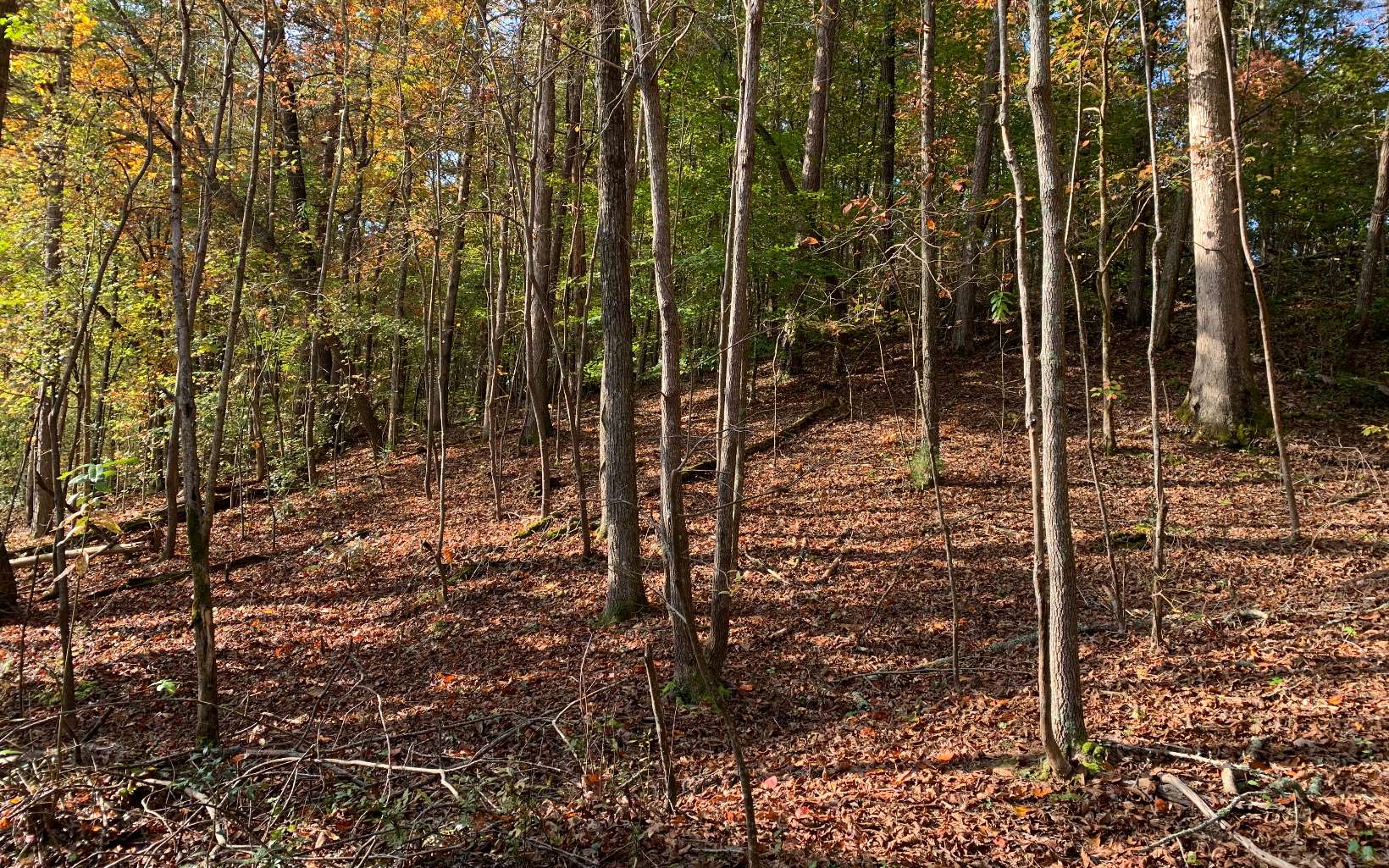 LT 5 Talona Lake Lane