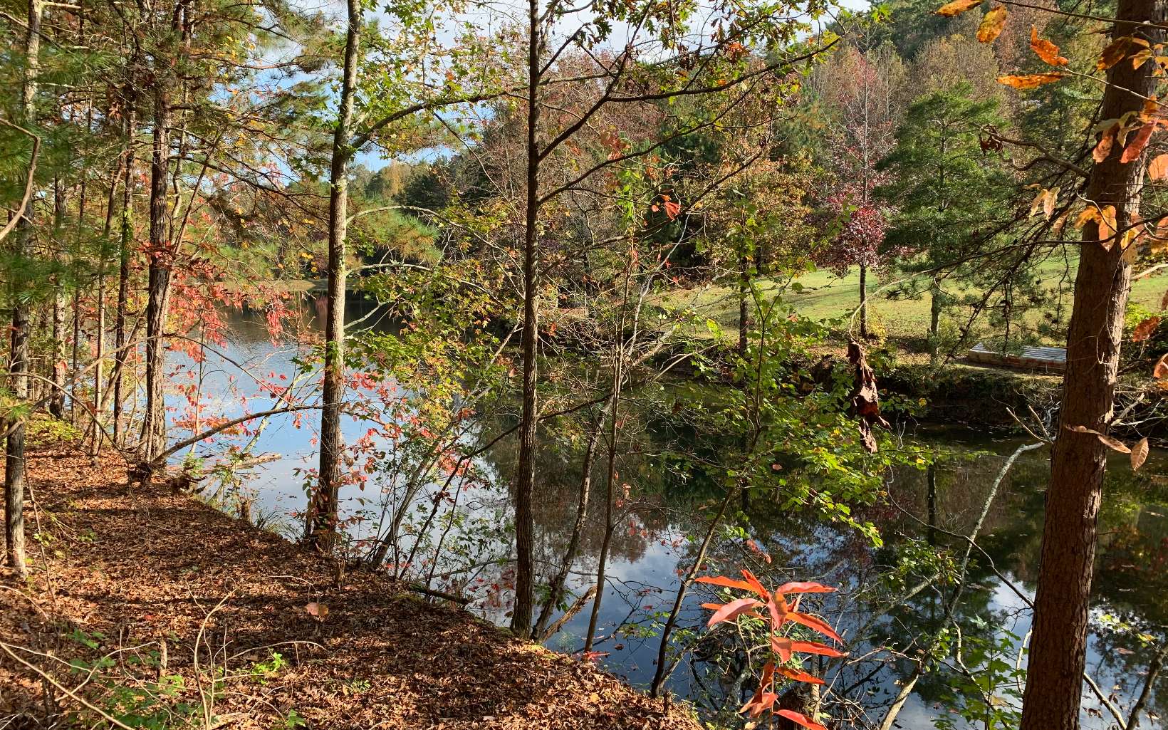 LT 5 Talona Lake Lane