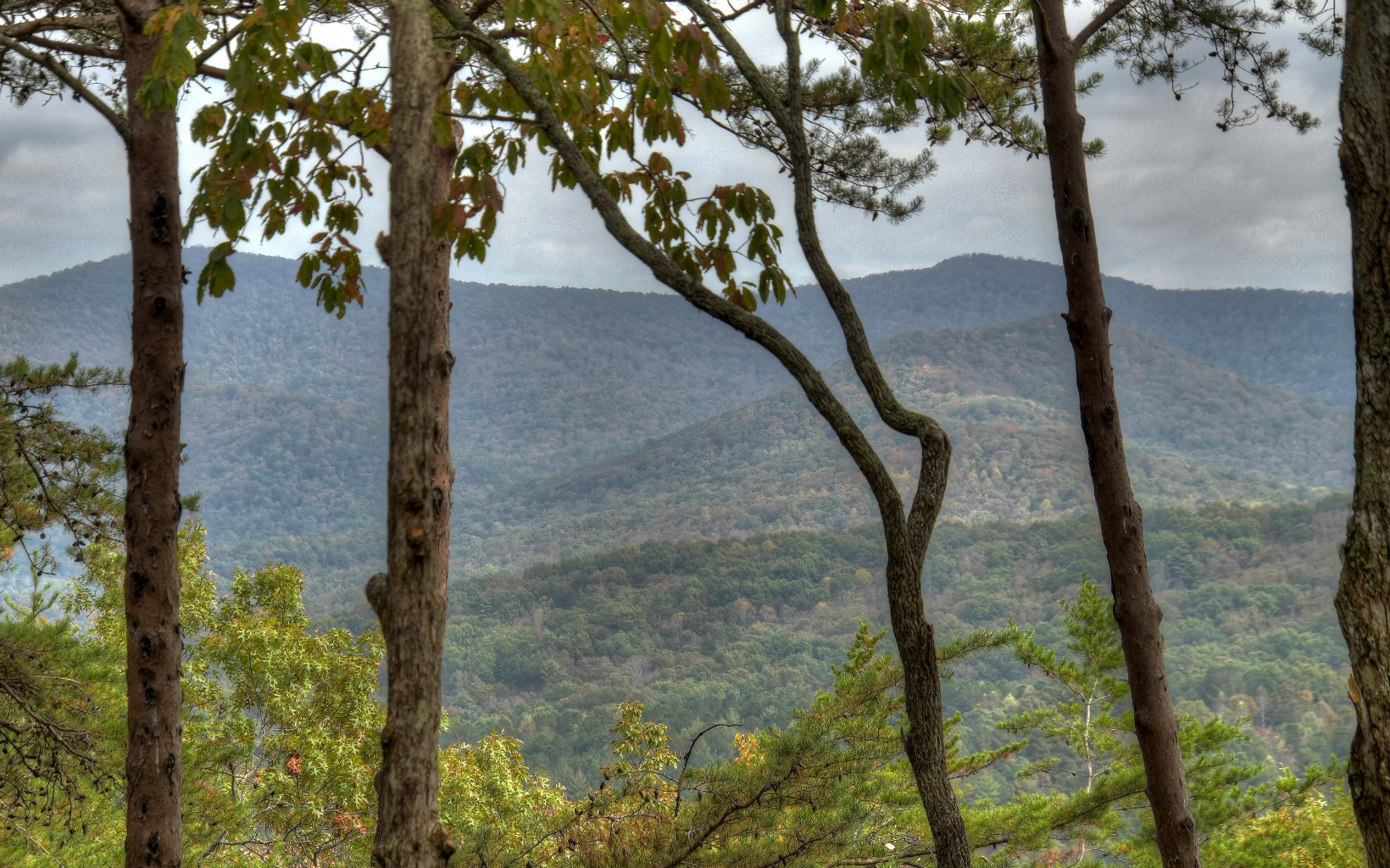 230 Laurel Hill Lane