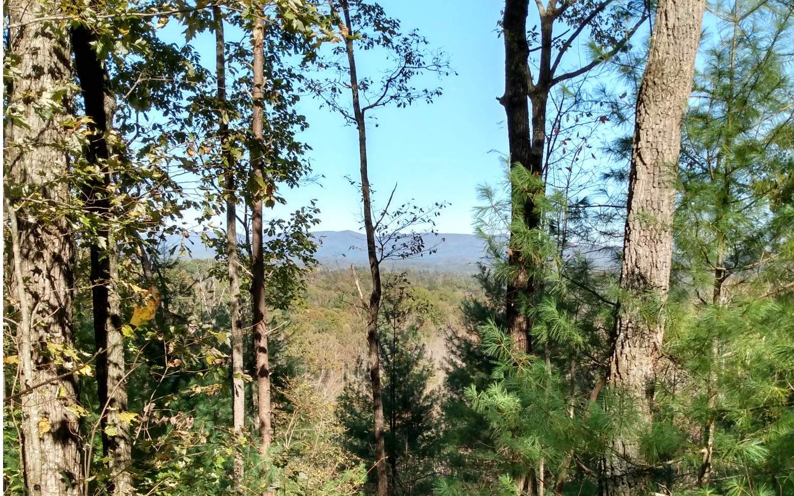 Pine Mountain Drive