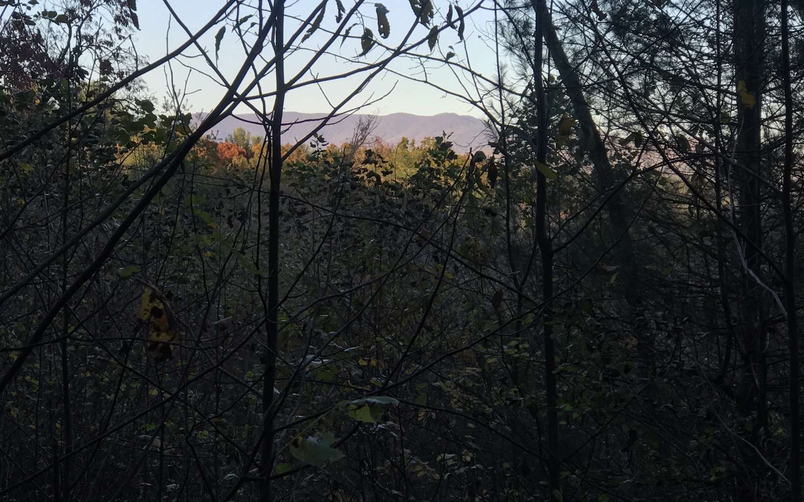 Pine Mountain Drive