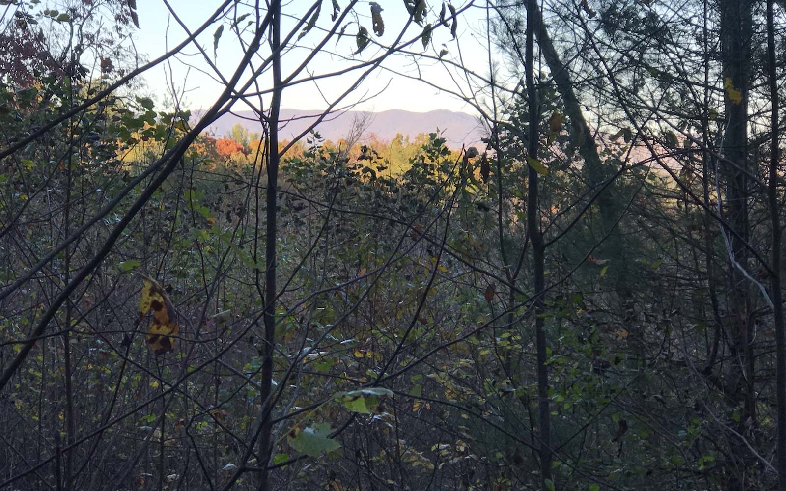 Pine Mountain Drive