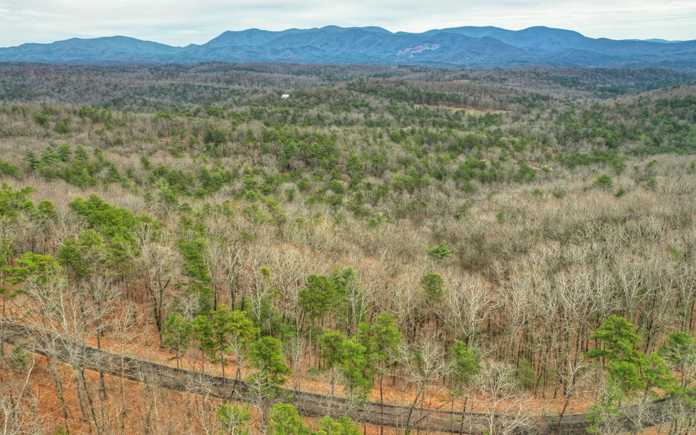 LT 19 Abbott Mill Road