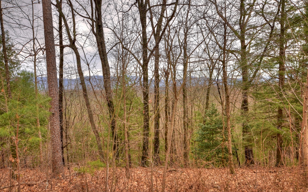 LT 19 Abbott Mill Road