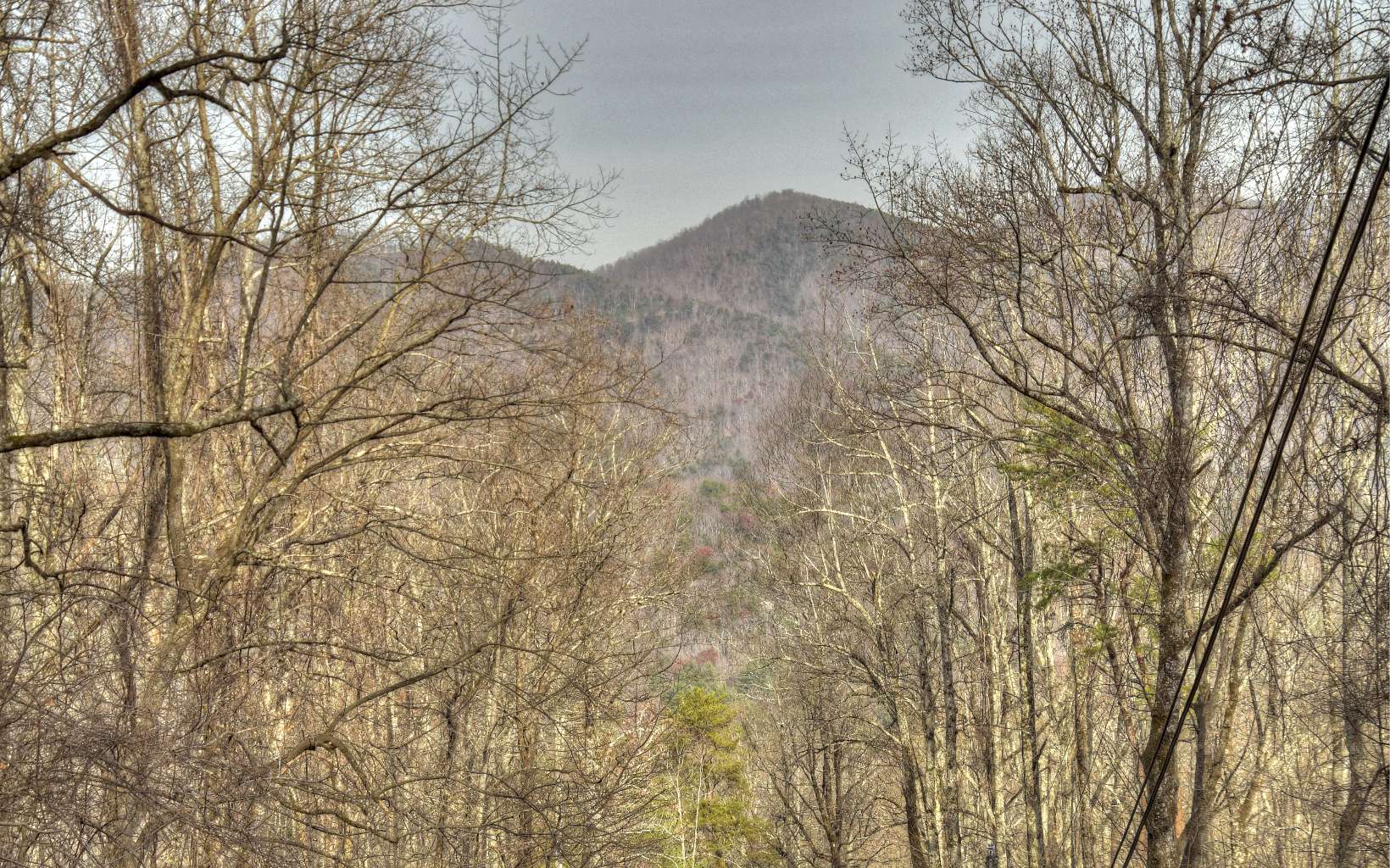 1189 Mountain Oak Road