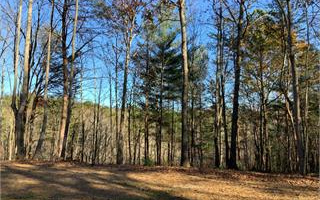 167 Ivy Cove Lane