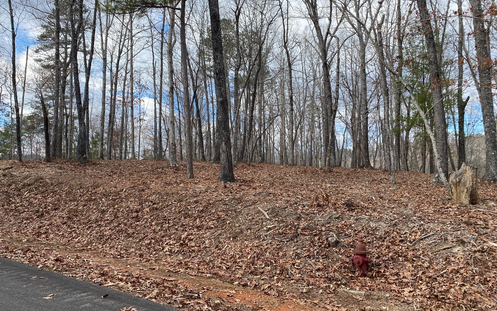 201 Harris Ridge Drive
