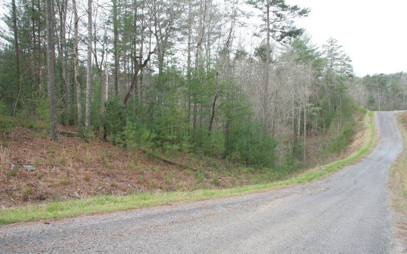 21 Roaring Forks Lane