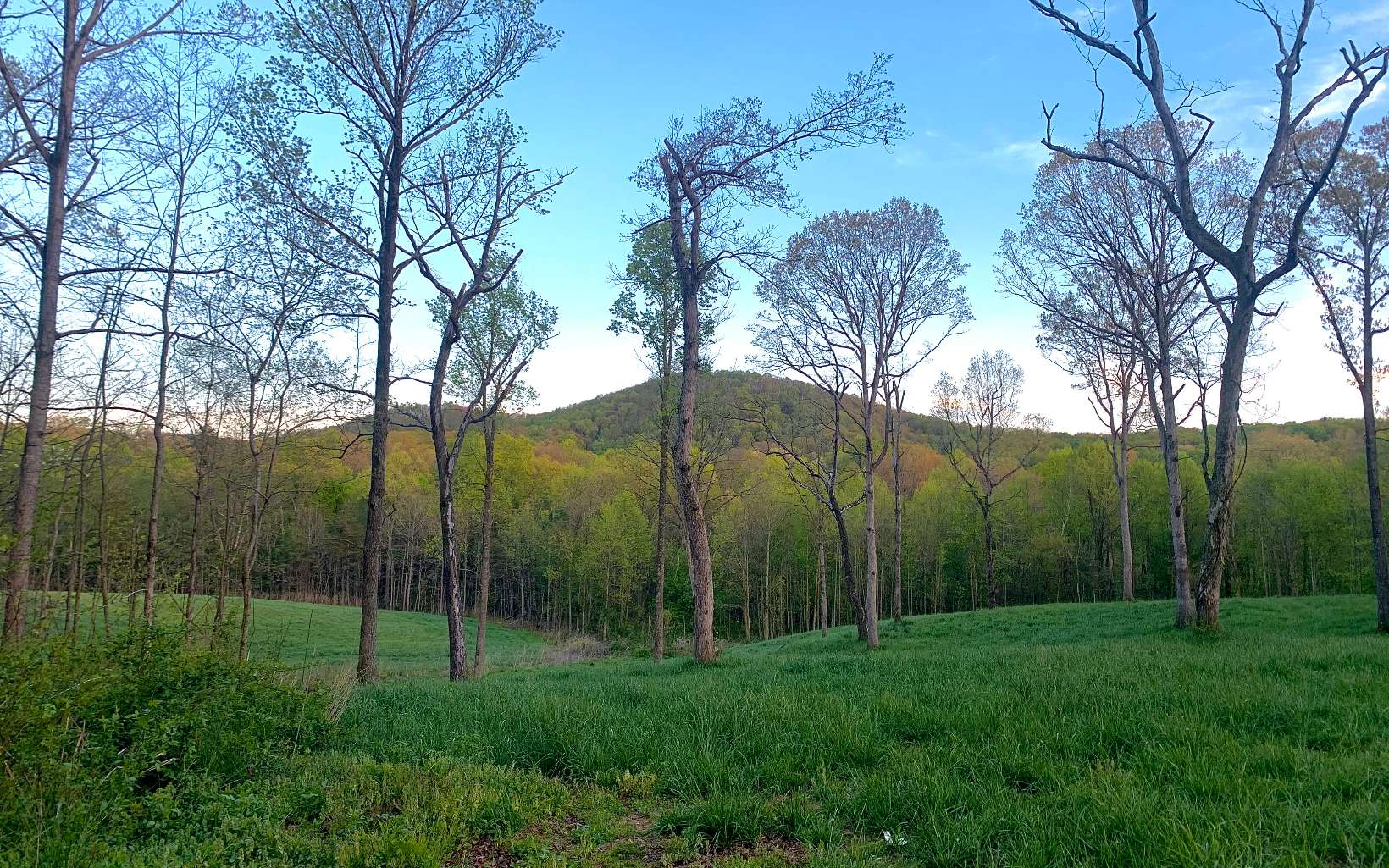 0 Burnt Mountain Road