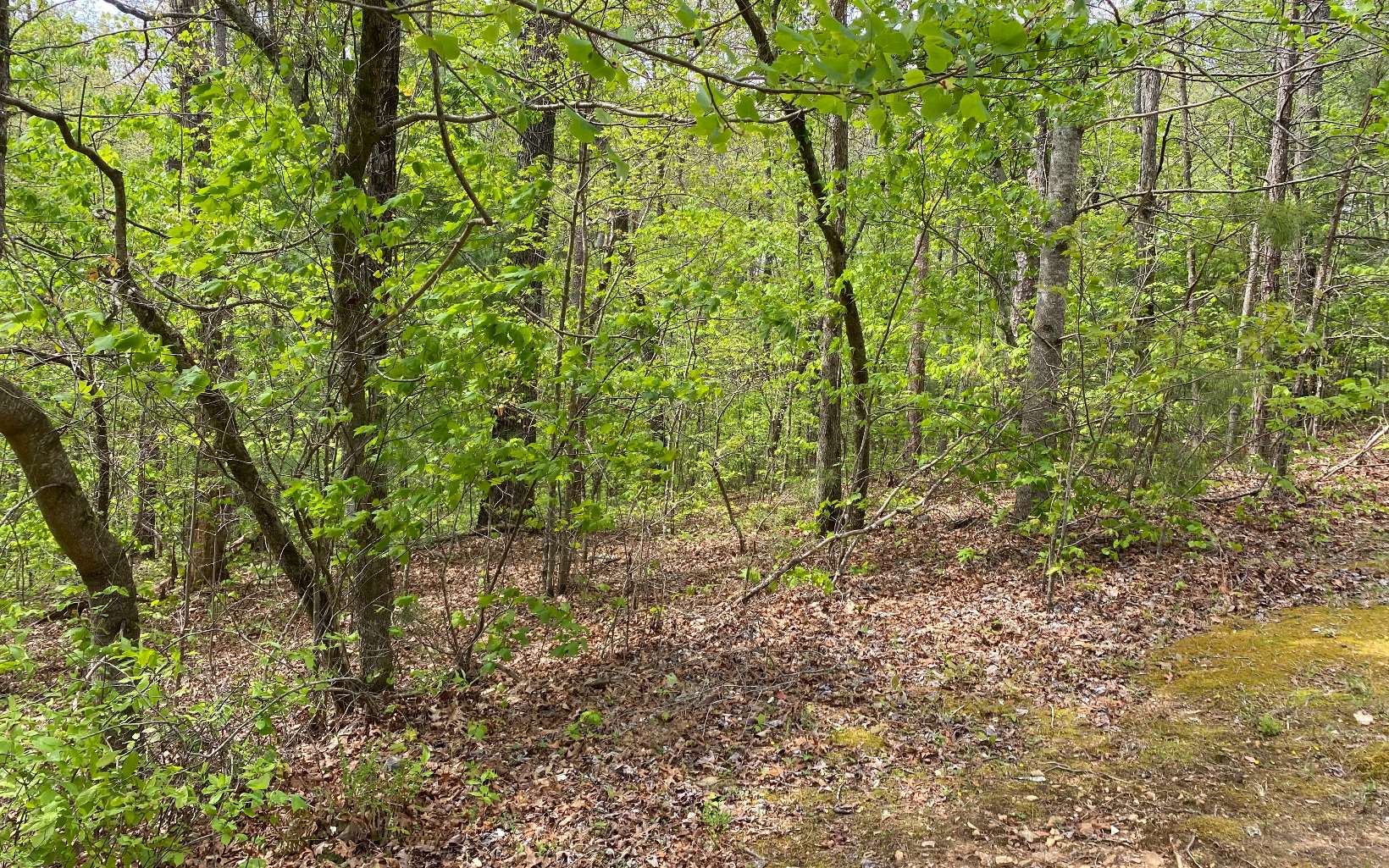1.89 Mountain Creek Hollow Drive