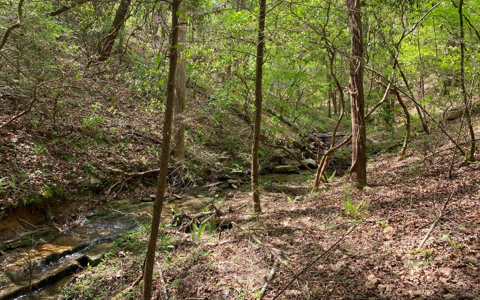 1.89 Mountain Creek Hollow Drive